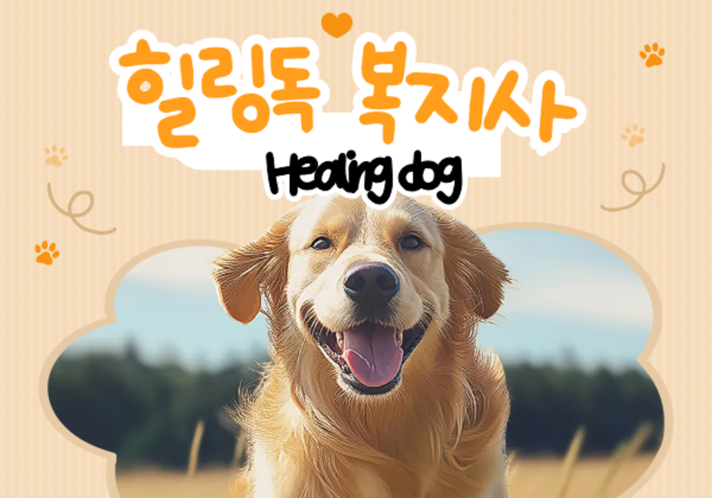 [대한사이버평생교육원]힐링독(healing dog)복지사